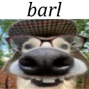 Meow Meow Bark Bark