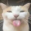 ⭒Doots⭒ Discord Server Icon