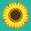 Interstitial Cystitis
