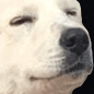 Pepsi Dog Discord Server Icon