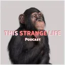 This Strange Life
