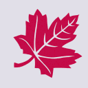 University of Toronto Overwatch