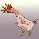 The Cheecken Coop