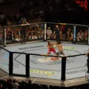 The Octagon