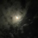 xxx