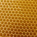 The Vegan Hive Mind