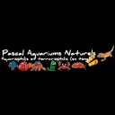 Pascal Aquariums Naturels