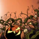 The Pumpkin Patch