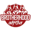 Brotherhood Gaming