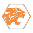 Tiger Web Development