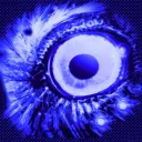 CanonDiscord
