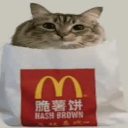the Brongus drive ( icon