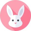 Lemniscate Discord Server Icon