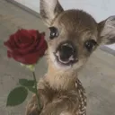 ૮₍ ´ ꒳ `₎ა ──  ♡　𐡘 𐡘