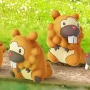 Pokémon Bidoof Version