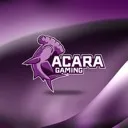 AcaRa Gaming LLC