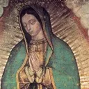 /ecclesia catholica/