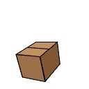 Shake The Box