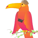 Jungle Servers
