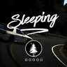 Sleeping Est. 17