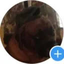 Fortnite Player/Gamers