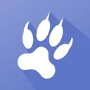 Cougar Tracks