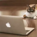 暇な時にいるとこ