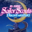 LN SailorScouts Association