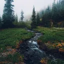 Notes