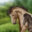Horse Reality
