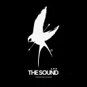 THE SOUND