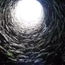 The Shit Hole Group