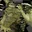 ςยlt:ƟF:o̓̇ͫz̓͛ͮ - Rob0Deva X: Renegade Band of Rogue GM's (The Game Beg0nneth)