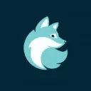 FoxofHurricanes