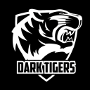 Dark Tigers Server Icon