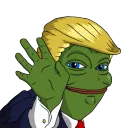 Trump_17's Discord