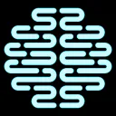 Discortex