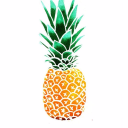Acrylic Pineapple Server Icon