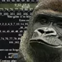 Monkeyman's Jungle League