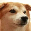 Doggo Clan Recruitments Fortnite BR