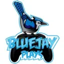 Bluejay Plays Hangout