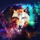 _Furrys_United_
