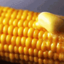 The Cornfield