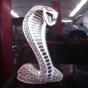 The Snake Farm