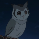 Owl's Server Server Icon