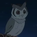 Owl’s Lounge