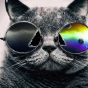 meowweretalkin