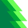 Evergreen Conifer