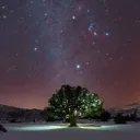 Nightlife