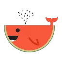 Spyer™